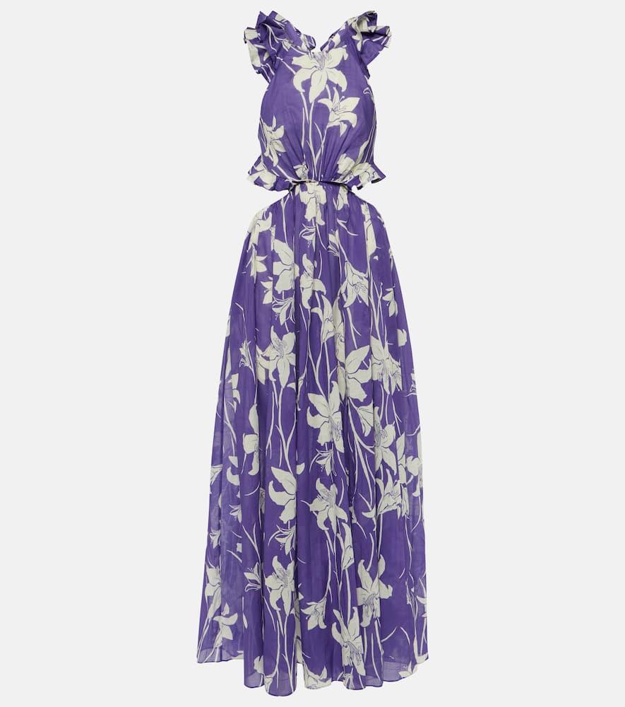 zimmermann acadian floral cotton maxi dress